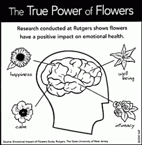 True Power of Flowers diagram. Source Emotional Impact of Flowers Study of Rutgers University